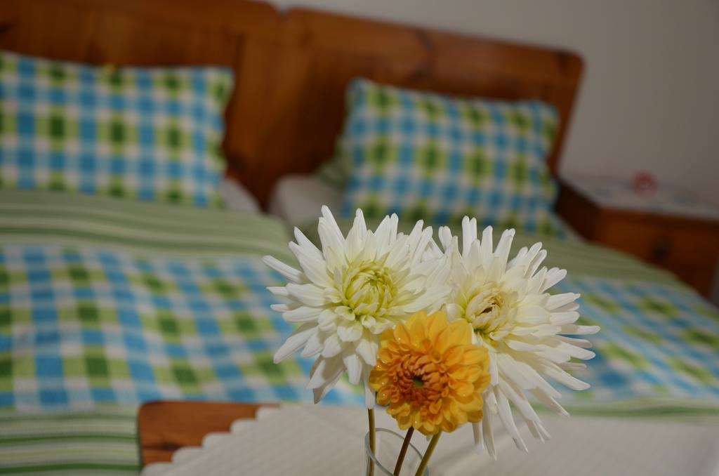 Hotel Haus Dachstein Schnitzer Eben Im Pongau Habitación foto